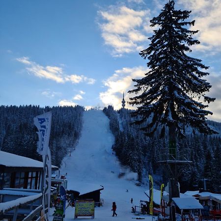 Студиа Студенец Smolyan Exterior photo