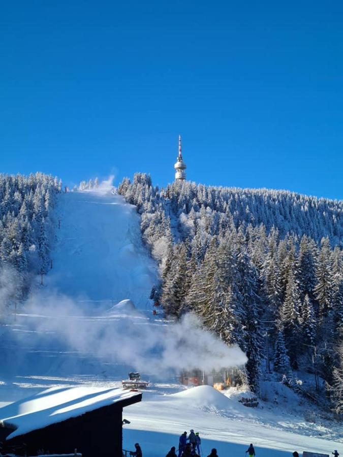 Студиа Студенец Smolyan Exterior photo